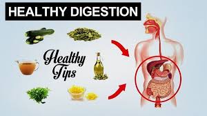 Tips for Maintaining a Healthy Digestive System - A plate with a variety of fresh fruits, vegetables, and whole grains, accompanied by a glass of water, representing healthy dietary choices for better digestion."
