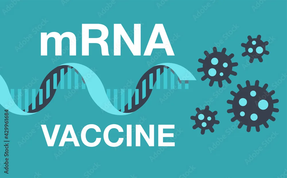 The Promise of mRNA Vaccines: Revolutionizing Immunization