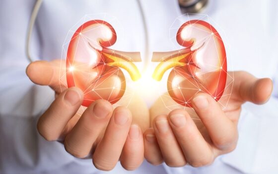 Unraveling the Mystery: Exploring Rare Kidney Diseases You've Never Heard Of