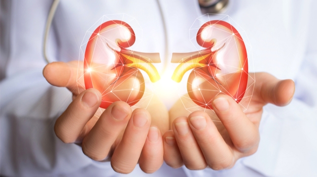 Unraveling the Mystery: Exploring Rare Kidney Diseases You've Never Heard Of