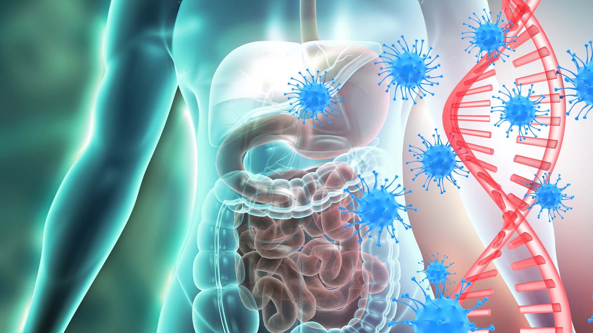 Autoimmune Digestive Disorders