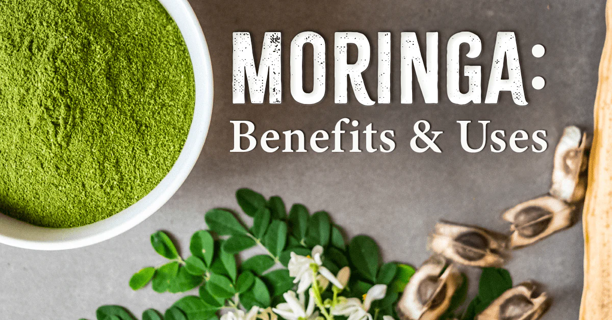 Moringa Leaves: Benefits and Side Effects Revealed